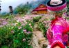 Du Lịch Sapa Hè 2026 – Trốn Nóng Miền Núi, Săn Mây Và Ruộng Bậc Thang Tuyệt Đẹp Du lịch Sapa